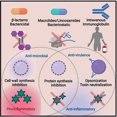 Antibiotic Treatment, Mechanisms for Failure, and Adjunctive Therapies for Infections by Group A Streptococcus